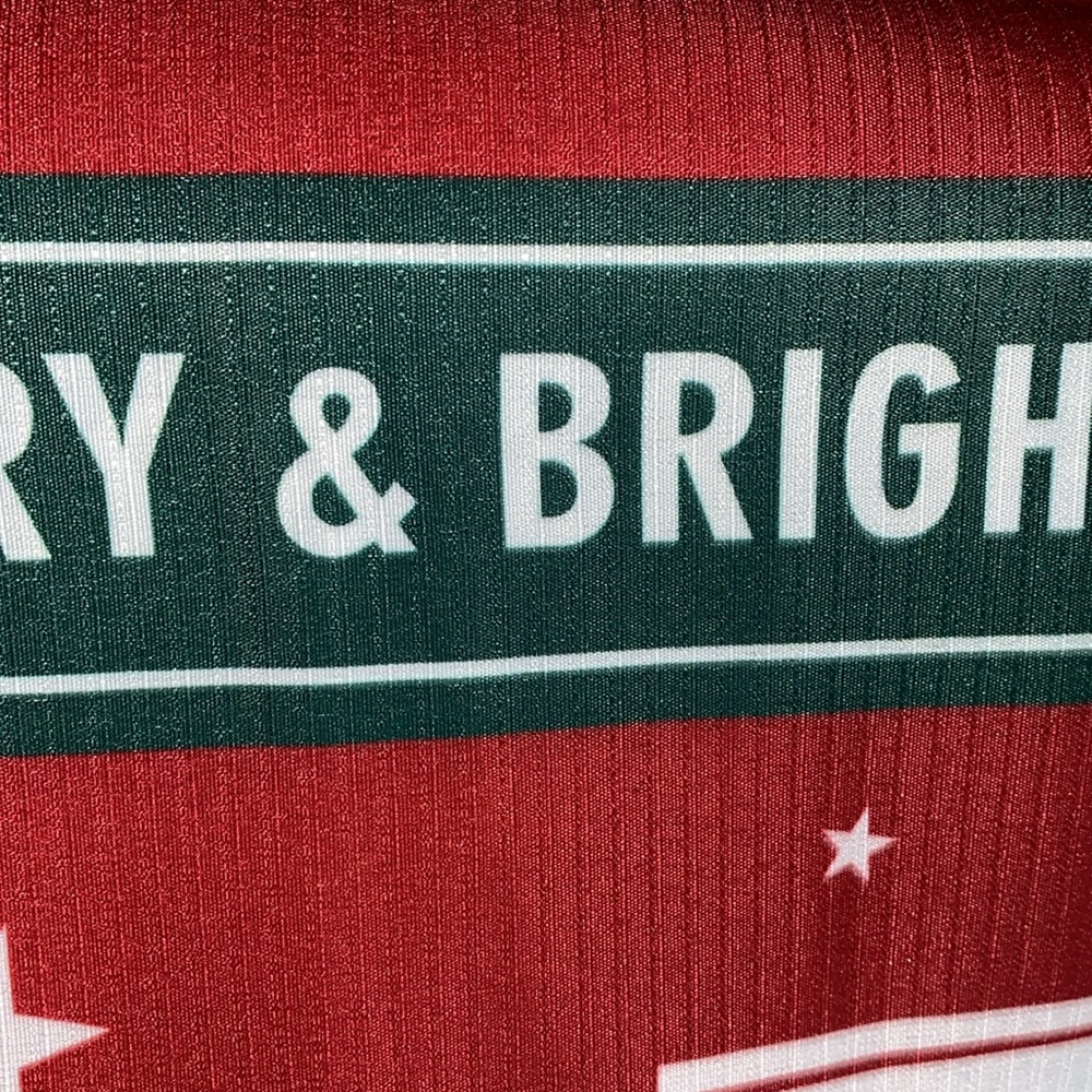 NEW Christmas shower curtain & 12 hooks - Picture 7 of 7